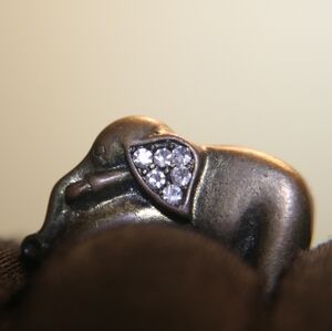 Elephant ring